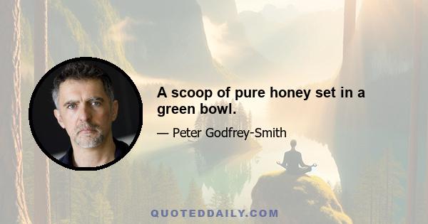 A scoop of pure honey set in a green bowl.