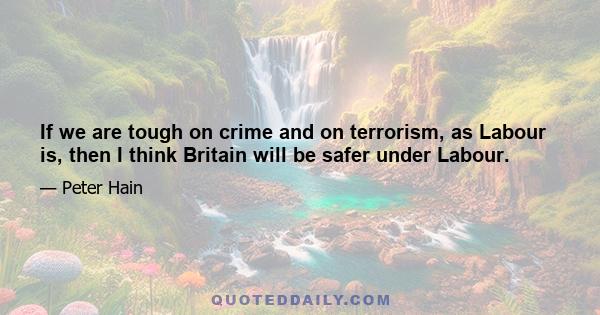 If we are tough on crime and on terrorism, as Labour is, then I think Britain will be safer under Labour.