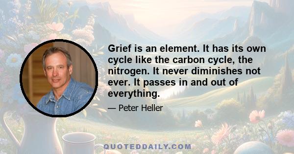 Grief is an element. It has its own cycle like the carbon cycle, the nitrogen. It never diminishes not ever. It passes in and out of everything.