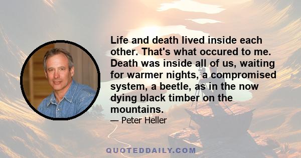 Life and death lived inside each other. That's what occured to me. Death was inside all of us, waiting for warmer nights, a compromised system, a beetle, as in the now dying black timber on the mountains.