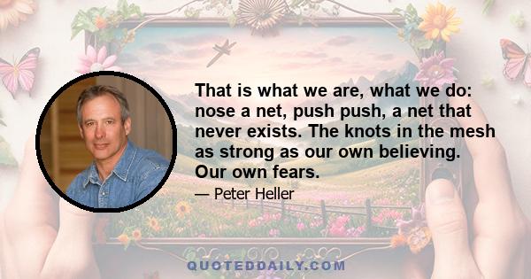 That is what we are, what we do: nose a net, push push, a net that never exists. The knots in the mesh as strong as our own believing. Our own fears.