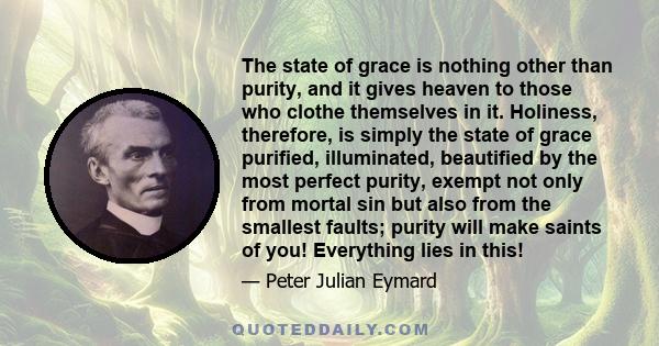 The state of grace is nothing other than purity, and it gives heaven to those who clothe themselves in it. Holiness, therefore, is simply the state of grace purified, illuminated, beautified by the most perfect purity,