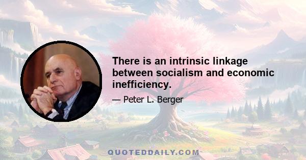 There is an intrinsic linkage between socialism and economic inefficiency.