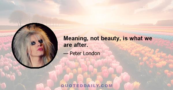 Meaning, not beauty, is what we are after.