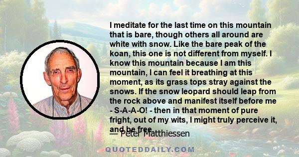 I meditate for the last time on this mountain that is bare, though others all around are white with snow. Like the bare peak of the koan, this one is not different from myself. I know this mountain because I am this