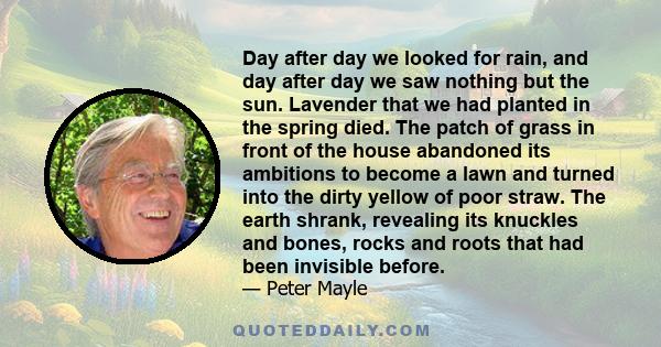 Day after day we looked for rain, and day after day we saw nothing but the sun. Lavender that we had planted in the spring died. The patch of grass in front of the house abandoned its ambitions to become a lawn and