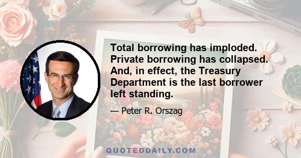 Total borrowing has imploded. Private borrowing has collapsed. And, in effect, the Treasury Department is the last borrower left standing.