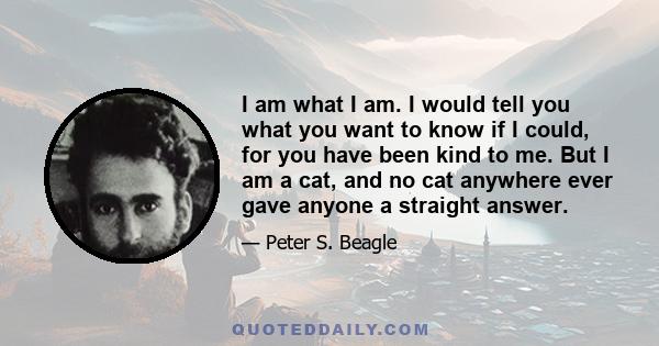 I am what I am. I would tell you what you want to know if I could, for you have been kind to me. But I am a cat, and no cat anywhere ever gave anyone a straight answer.