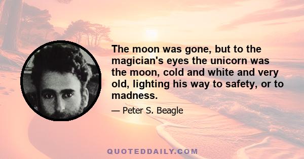 The moon was gone, but to the magician's eyes the unicorn was the moon, cold and white and very old, lighting his way to safety, or to madness.