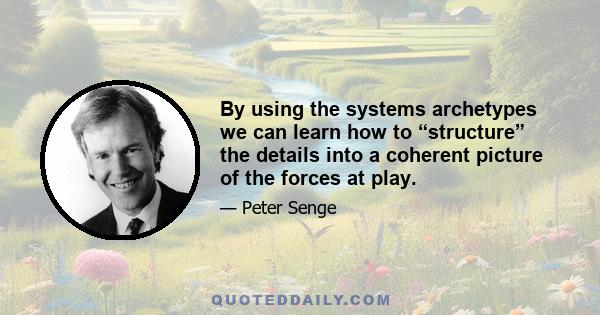 By using the systems archetypes we can learn how to “structure” the details into a coherent picture of the forces at play.