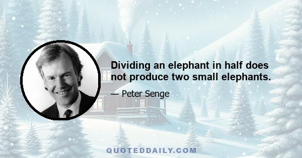 Dividing an elephant in half does not produce two small elephants.