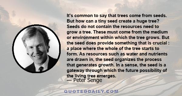 It's common to say that trees come from seeds. But how can a tiny seed create a huge tree? Seeds do not contain the resources need to grow a tree. These must come from the medium or environment within which the tree