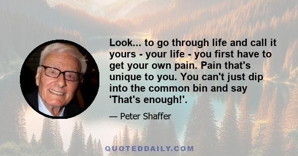 Look... to go through life and call it yours - your life - you first have to get your own pain. Pain that's unique to you. You can't just dip into the common bin and say 'That's enough!'.