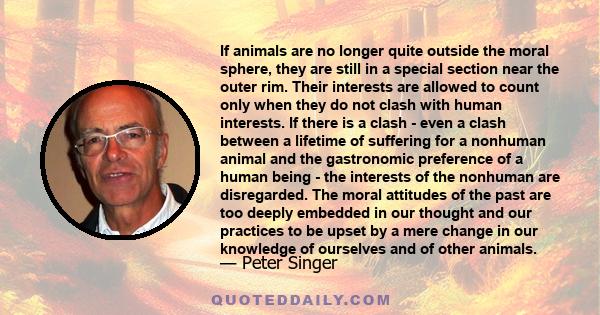 If animals are no longer quite outside the moral sphere, they are still in a special section near the outer rim. Their interests are allowed to count only when they do not clash with human interests. If there is a clash 