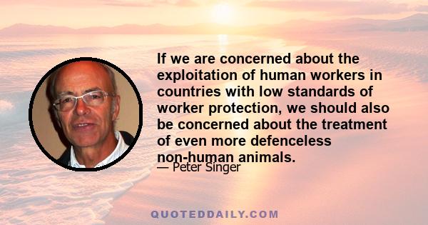 If we are concerned about the exploitation of human workers in countries with low standards of worker protection, we should also be concerned about the treatment of even more defenceless non-human animals.