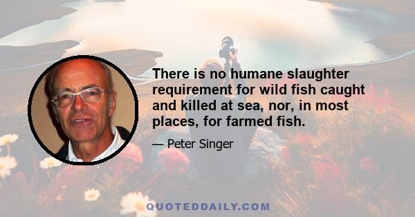 There is no humane slaughter requirement for wild fish caught and killed at sea, nor, in most places, for farmed fish.