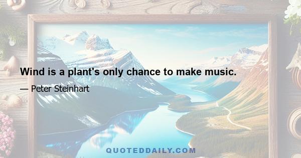 Wind is a plant's only chance to make music.