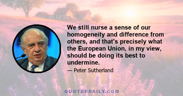 We still nurse a sense of our homogeneity and difference from others, and that's precisely what the European Union, in my view, should be doing its best to undermine.