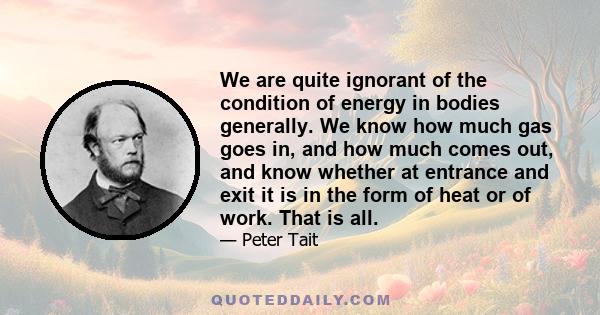 We are quite ignorant of the condition of energy in bodies generally. We know how much gas goes in, and how much comes out, and know whether at entrance and exit it is in the form of heat or of work. That is all.