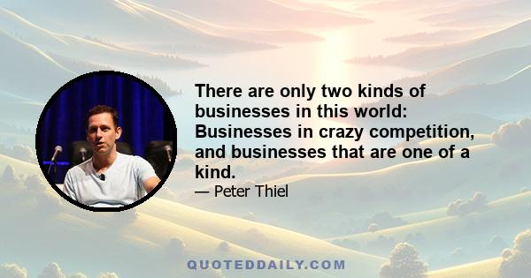 There are only two kinds of businesses in this world: Businesses in crazy competition, and businesses that are one of a kind.