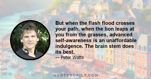 But when the flash flood crosses your path, when the lion leaps at you from the grasses, advanced self-awareness is an unaffordable indulgence. The brain stem does its best.