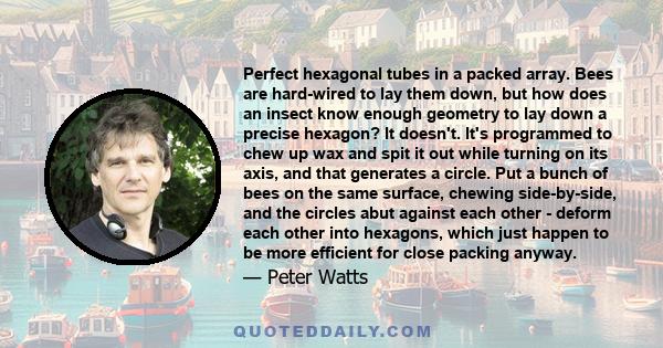 Perfect hexagonal tubes in a packed array. Bees are hard-wired to lay them down, but how does an insect know enough geometry to lay down a precise hexagon? It doesn't. It's programmed to chew up wax and spit it out