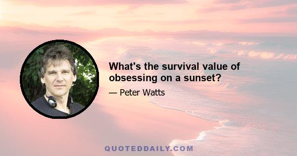 What's the survival value of obsessing on a sunset?