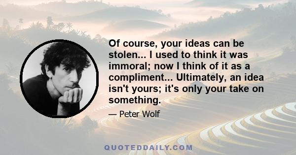 Of course, your ideas can be stolen... I used to think it was immoral; now I think of it as a compliment... Ultimately, an idea isn't yours; it's only your take on something.