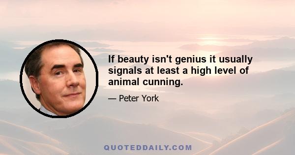 If beauty isn't genius it usually signals at least a high level of animal cunning.