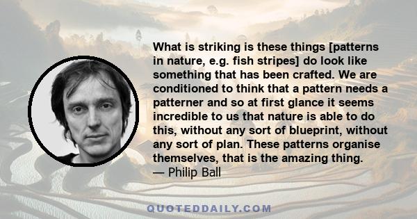 What is striking is these things [patterns in nature, e.g. fish stripes] do look like something that has been crafted. We are conditioned to think that a pattern needs a patterner and so at first glance it seems