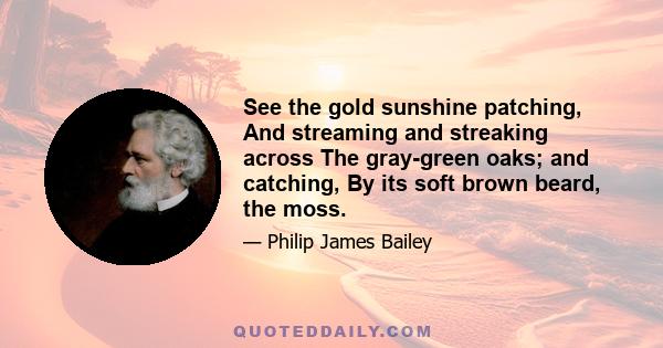 See the gold sunshine patching, And streaming and streaking across The gray-green oaks; and catching, By its soft brown beard, the moss.