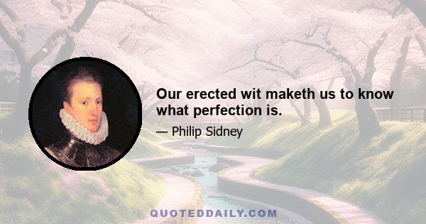 Our erected wit maketh us to know what perfection is.