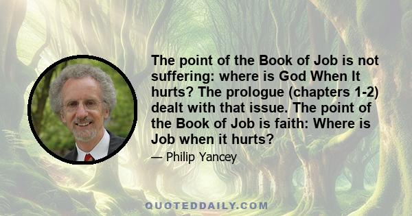 The point of the Book of Job is not suffering: where is God When It hurts? The prologue (chapters 1-2) dealt with that issue. The point of the Book of Job is faith: Where is Job when it hurts?