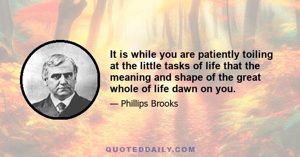 It is while you are patiently toiling at the little tasks of life that the meaning and shape of the great whole of life dawn on you.