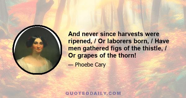 And never since harvests were ripened, / Or laborers born, / Have men gathered figs of the thistle, / Or grapes of the thorn!