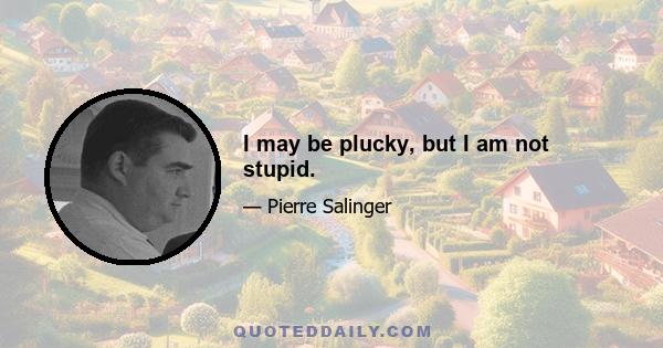 I may be plucky, but I am not stupid.