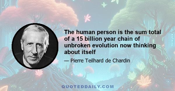 The human person is the sum total of a 15 billion year chain of unbroken evolution now thinking about itself