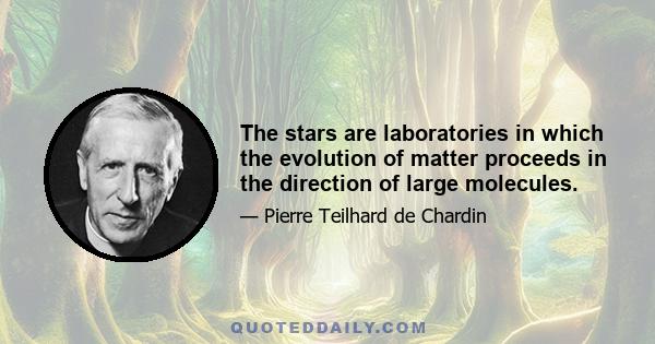 The stars are laboratories in which the evolution of matter proceeds in the direction of large molecules.