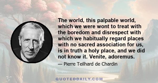 The world, this palpable world, which we were wont to treat with the boredom and disrespect with which we habitually regard places with no sacred association for us, is in truth a holy place, and we did not know it.