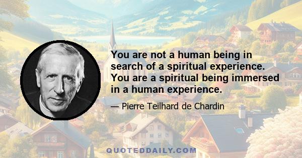 You are not a human being in search of a spiritual experience. You are a spiritual being immersed in a human experience.