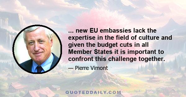 ... new EU embassies lack the expertise in the field of culture and given the budget cuts in all Member States it is important to confront this challenge together.