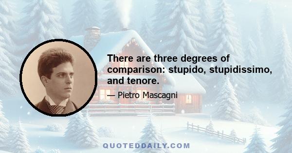 There are three degrees of comparison: stupido, stupidissimo, and tenore.