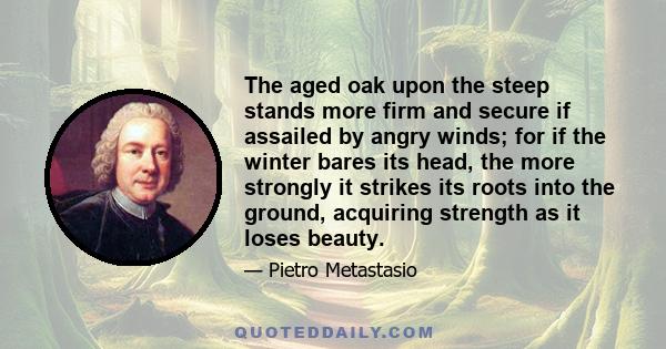 The aged oak upon the steep stands more firm and secure if assailed by angry winds; for if the winter bares its head, the more strongly it strikes its roots into the ground, acquiring strength as it loses beauty.