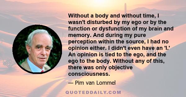 Without a body and without time, I wasn't disturbed by my ego or by the function or dysfunction of my brain and memory. And during my pure perception within the source, I had no opinion either. I didn't even have an