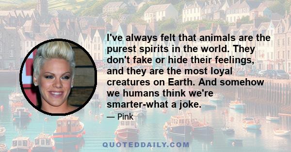 I've always felt that animals are the purest spirits in the world. They don't fake or hide their feelings, and they are the most loyal creatures on Earth. And somehow we humans think we're smarter-what a joke.