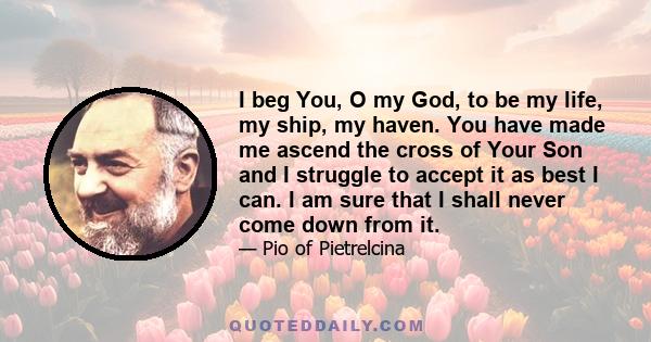 I beg You, O my God, to be my life, my ship, my haven. You have made me ascend the cross of Your Son and I struggle to accept it as best I can. I am sure that I shall never come down from it.