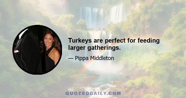 Turkeys are perfect for feeding larger gatherings.