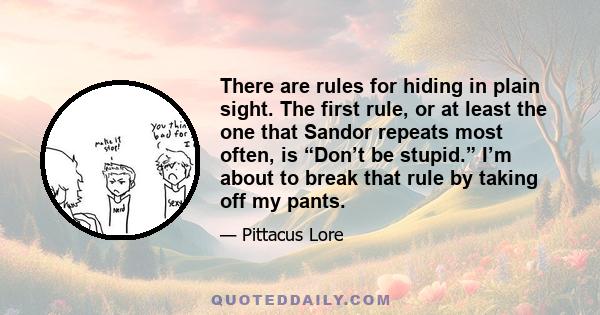 There are rules for hiding in plain sight. The first rule, or at least the one that Sandor repeats most often, is “Don’t be stupid.” I’m about to break that rule by taking off my pants.