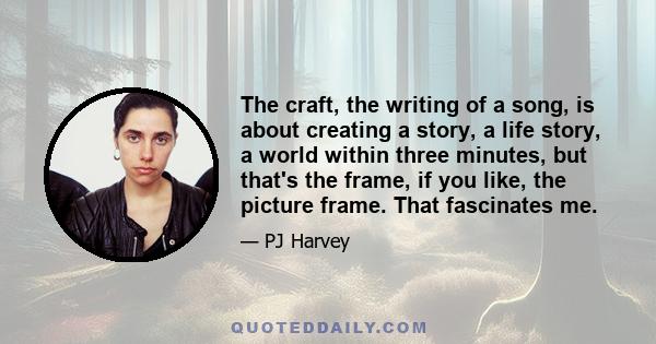 The craft, the writing of a song, is about creating a story, a life story, a world within three minutes, but that's the frame, if you like, the picture frame. That fascinates me.