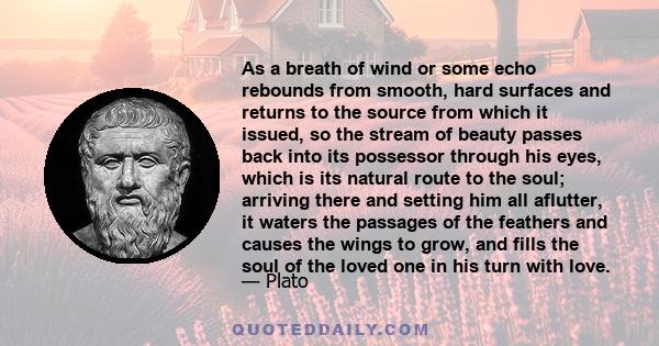 As a breath of wind or some echo rebounds from smooth, hard surfaces and returns to the source from which it issued, so the stream of beauty passes back into its possessor through his eyes, which is its natural route to 